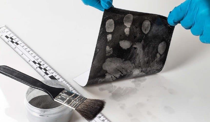 The Art of Finding Evidence Hiding in Plain Sight